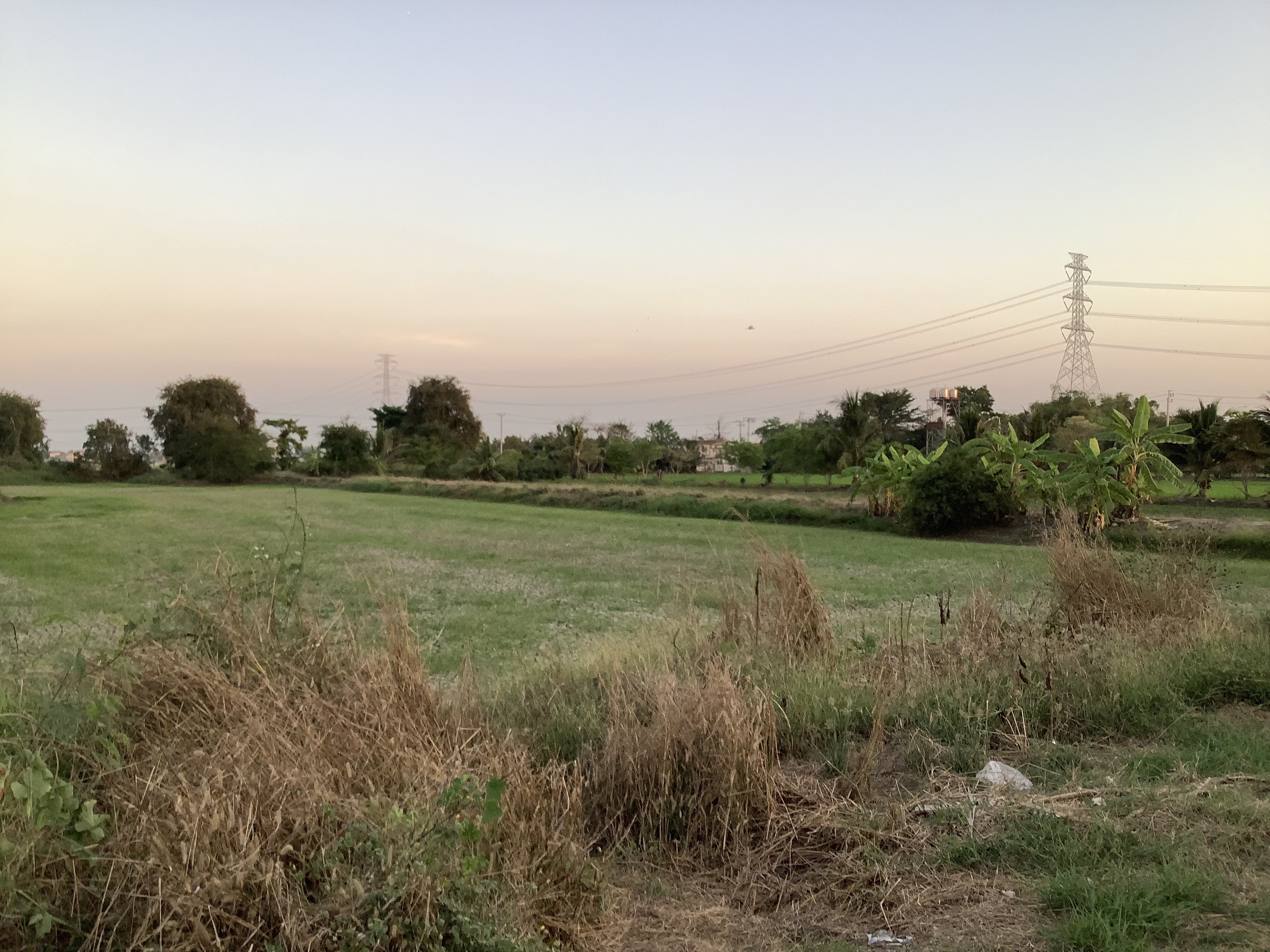 ขายที่ดินสีม่วง ต.ไทรใหญ่ นนทบุรี 7 ไร่ 78 ตร.วา ไร่ละ 2,700,000 บาท